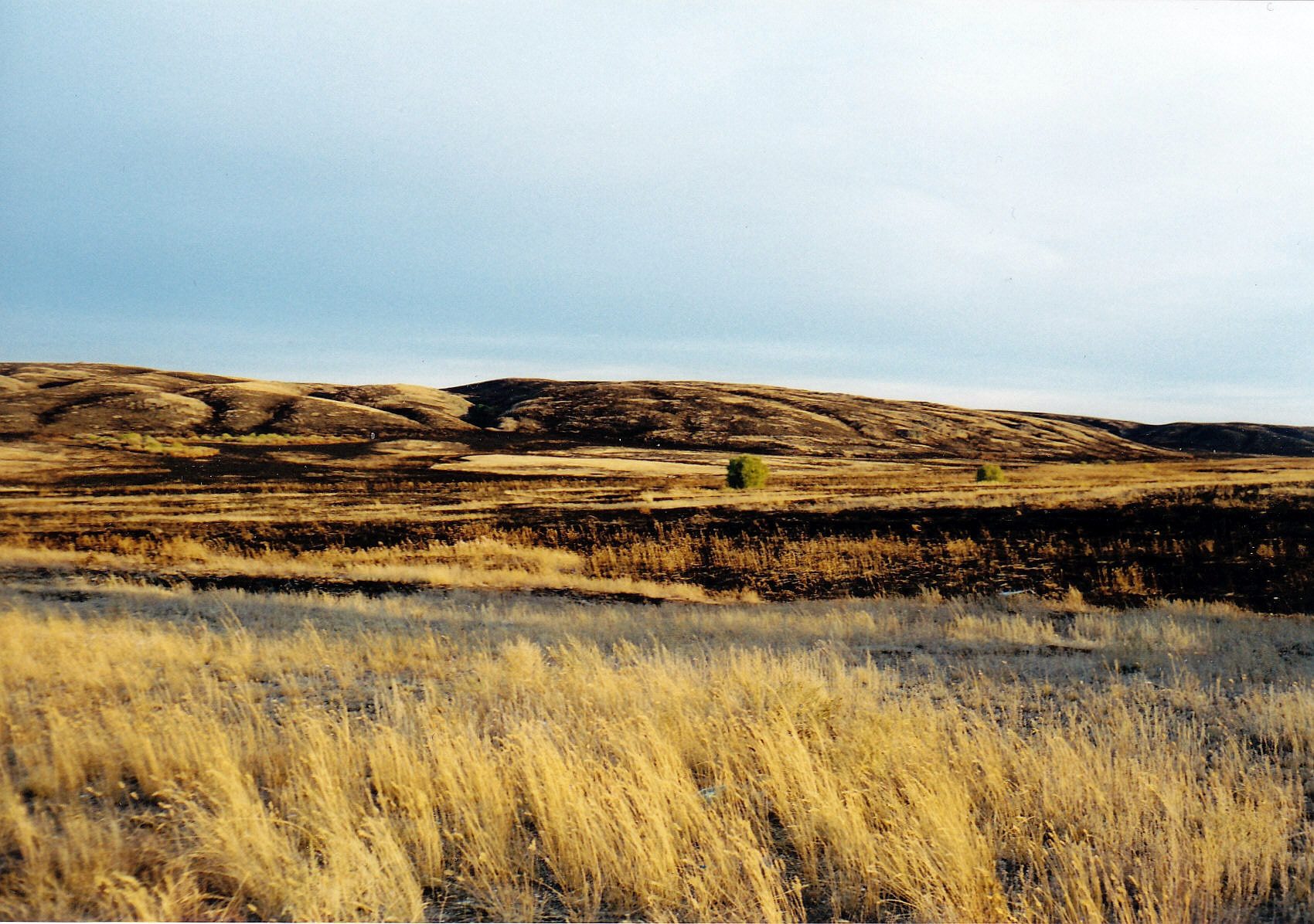 Kasachische Steppe im Spätsommer