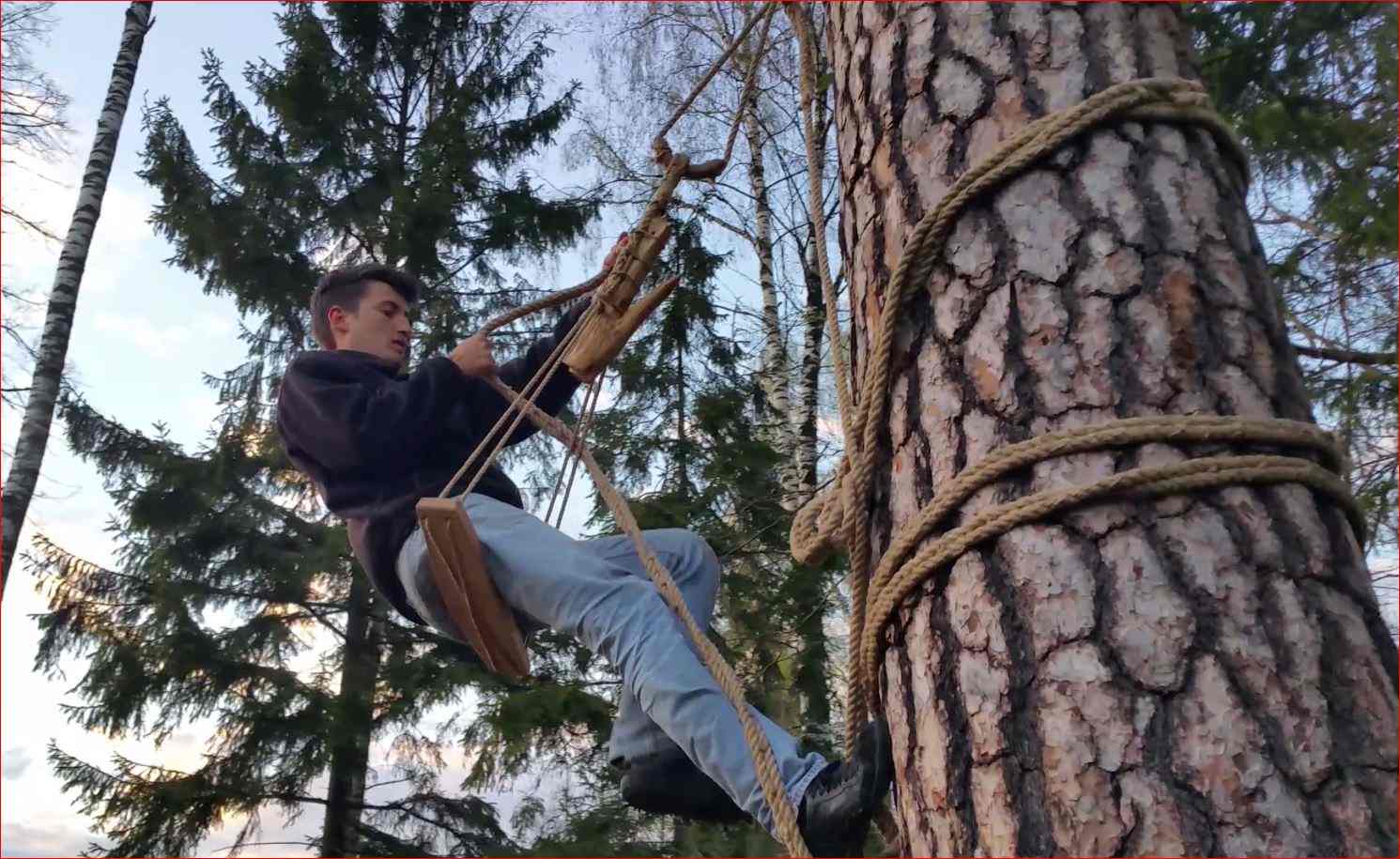 Junger polnischer Imker in der Zeidler-Tradition bei Augustow