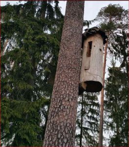 Klotzbeute in Polen nahe der litauischen Grenze