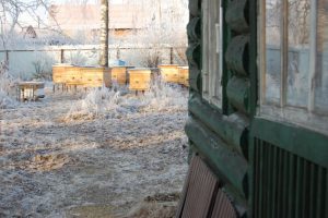 Bienenstöcke im Winter nahe Sankt Petersburg